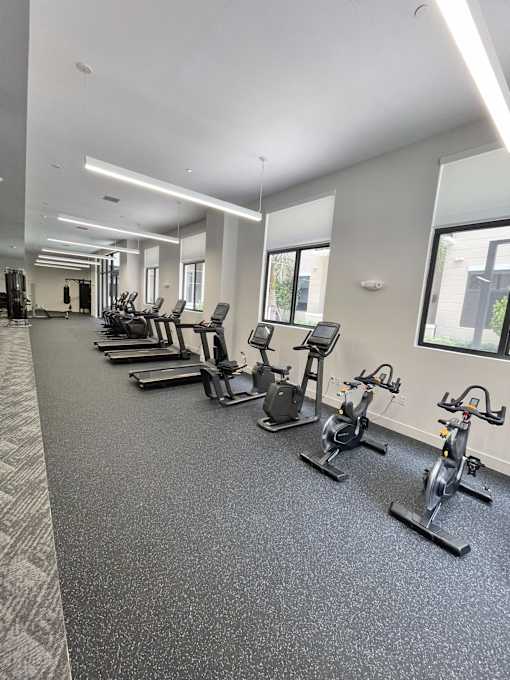 A gym with a row of stationary bikes.