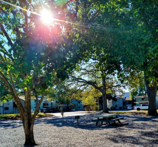 a picnic table in a park with the sun shining through the trees
