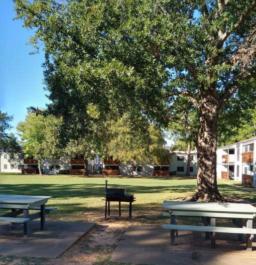 a park with picnic tables and a tree