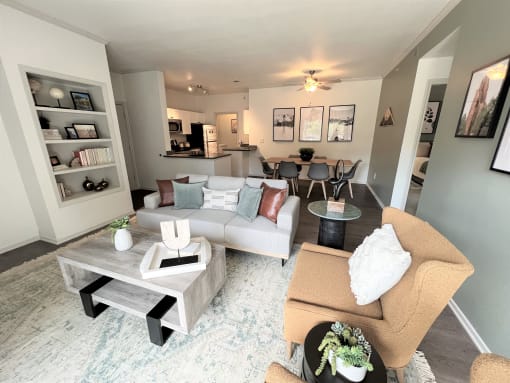a living room with gray walls and a white rug
