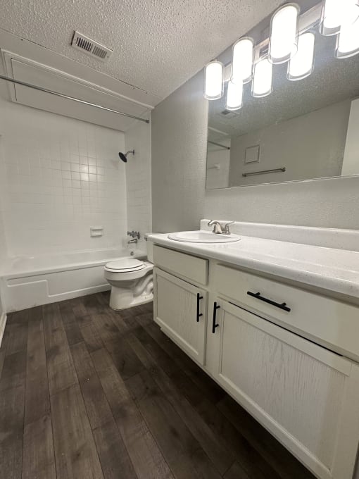 a bathroom with a toilet and a sink and a mirror