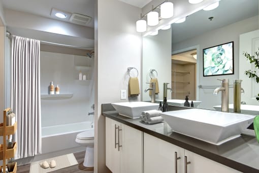 Two-Bedroom Apartments in Seattle, WA - Union Bay - Bathroom with Double Bowl Sinks, Separate Toilet, and Shower