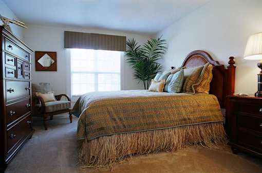 A bedroom with a bed, chair, and a plant.