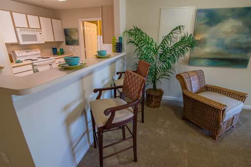A kitchen with a chair and a plant.