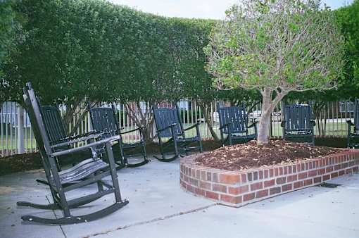 A tree in a planter is surrounded by rocking chairs.