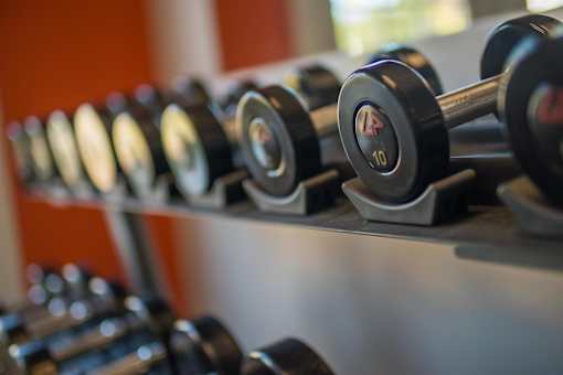 A row of dumbbells with the number 10 visible on one of them.