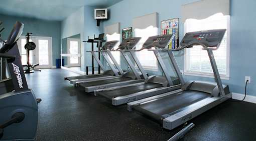 A gym with treadmills and exercise equipment.