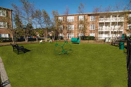 A green lawn with a basketball hoop in the middle of it.