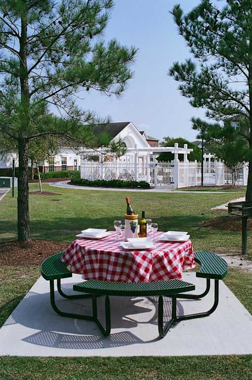 Picnic table with red and white checkered tablecloth and two green benches.