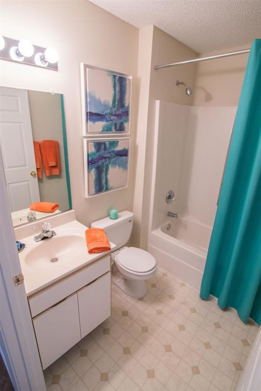A bathroom with a toilet, sink, and shower.