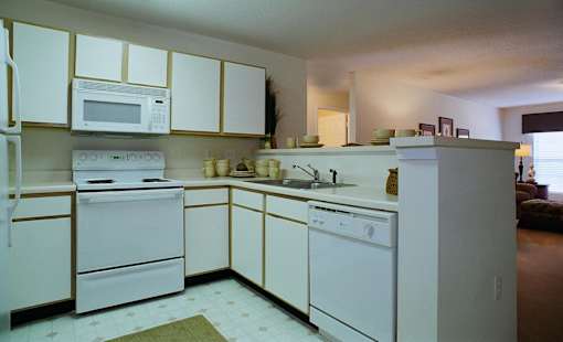 A white kitchen with a fridge, oven, microwave and dishwasher.