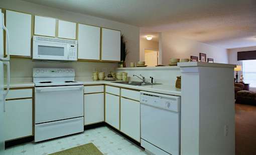 A white kitchen with a fridge, oven, microwave and dishwasher.