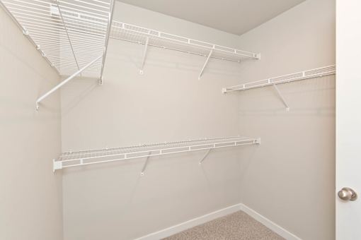 Empty white closet with shelves and a carpeted floor.