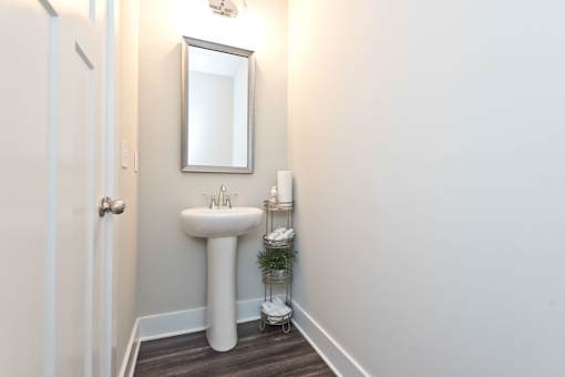 A white pedestal sink with a mirror above it and a small plant on the floor.