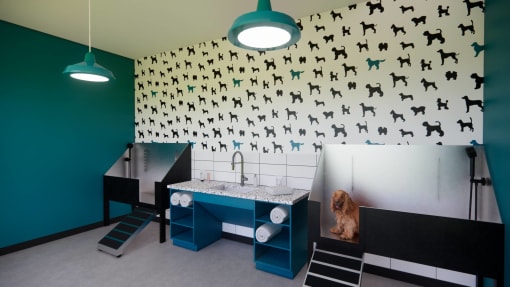 pet spa at solstice at june lake apartments near nashville