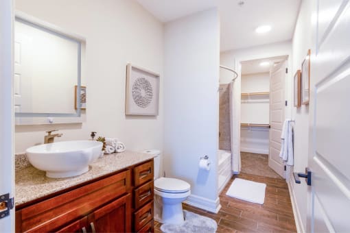 a bathroom with a sink and a toilet and a shower