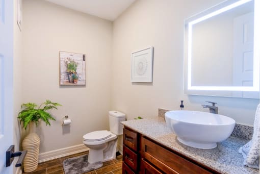 a bathroom with a sink and a toilet