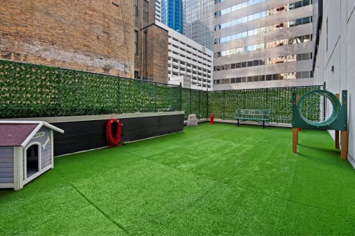 Expansive Dog Park for Furry Friends