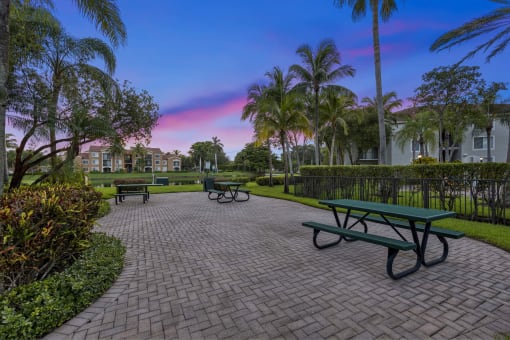 a park with picnic tables and palm trees