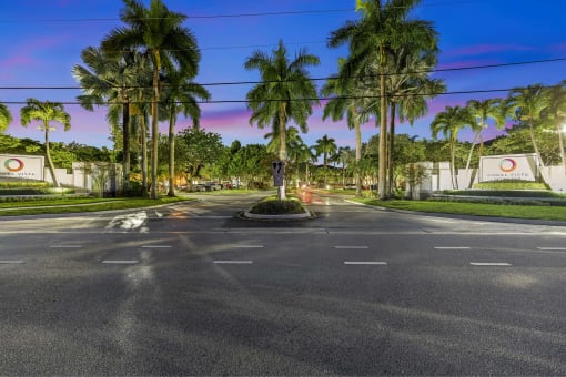 an empty street with palm trees at the end of it