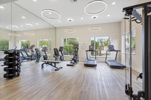 a gym with cardio machines and weights on a wooden floor