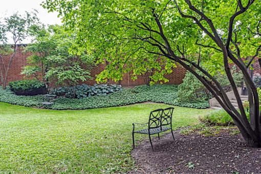 A bench sits under a tree in a garden.