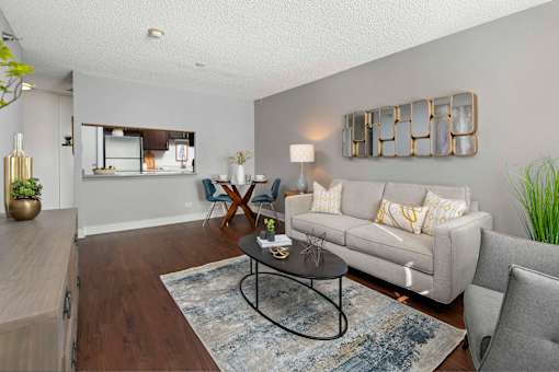 A living room with a grey couch, a coffee table, and a rug.
