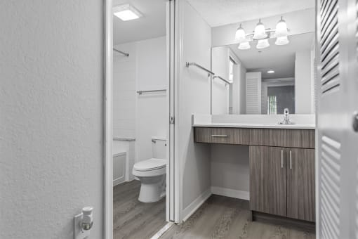a bathroom with a toilet and a sink and a mirror