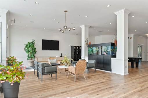 A living room with a grey sofa, a black cabinet, and a wooden floor.