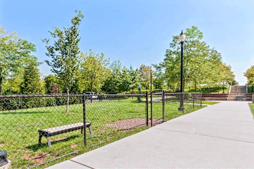A park with a bench and a fence.