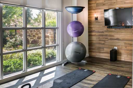 A room with a purple exercise ball on a stand and a black exercise mat on the floor.