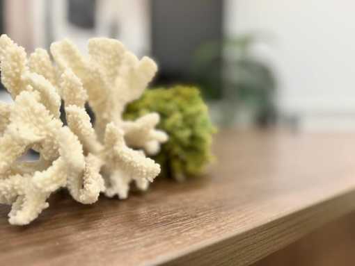 A white coral-like object sits on a wooden surface next to a green object.