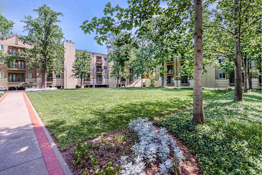 Lovely Landscaping