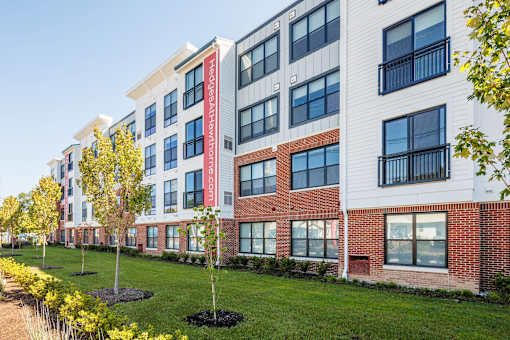 A row of trees in front of a building with a red brick wall.