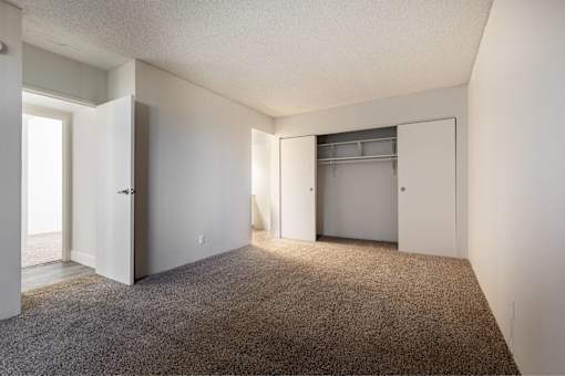 A room with a carpeted floor and two closets.