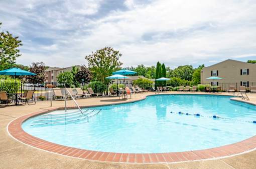 A large outdoor swimming pool surrounded by trees and umbrellas.