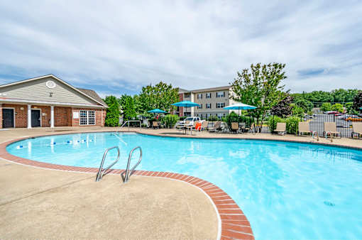 A swimming pool with a red brick border and a metal ladder.