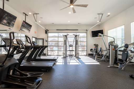 A gym with treadmills, exercise bikes, and other equipment.