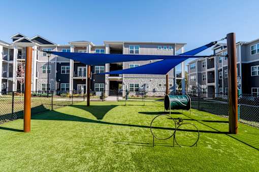 A playground with a blue canopy and a green slide.