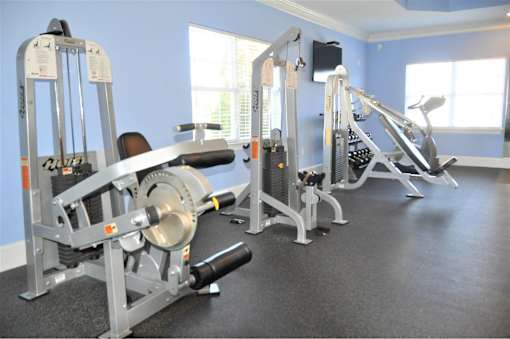A gym with a row of exercise machines.