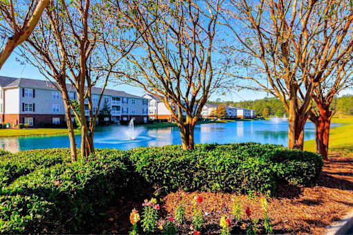 A pool surrounded by trees and bushes.