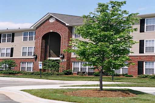 A tree stands in front of a brick building with a large arched doorway.
