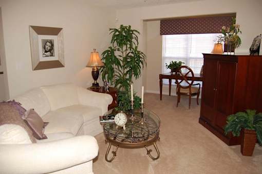 A living room with a white couch, a glass coffee table, and a potted plant.