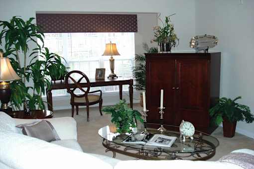A living room with a couch, chair, and potted plants.