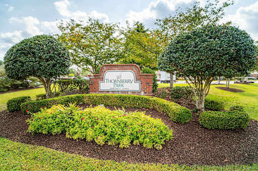 at Thornberry Park, Wilson