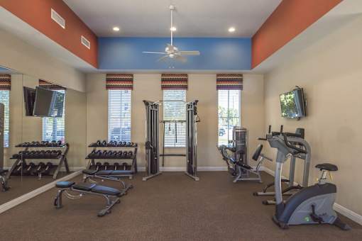 A gym with a variety of equipment including treadmills, stationary bikes, and weight machines.