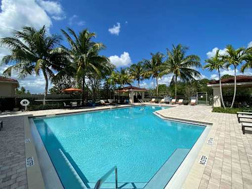 A large swimming pool surrounded by palm trees.