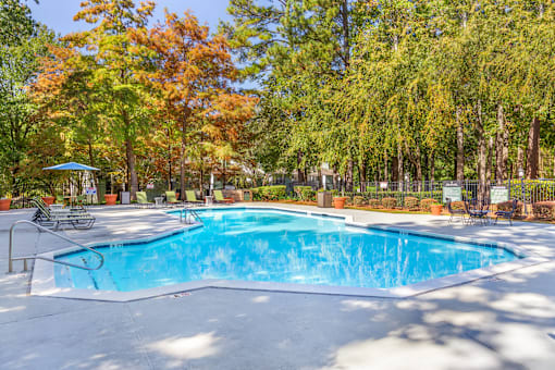 A large swimming pool surrounded by trees in a sunny day.