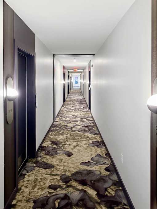 A long hallway with a carpeted floor and doors on the left.