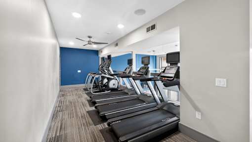 A row of treadmills are lined up in a gym.